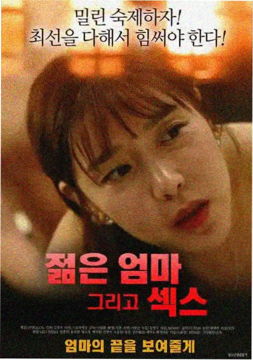 青鸟经典：教父